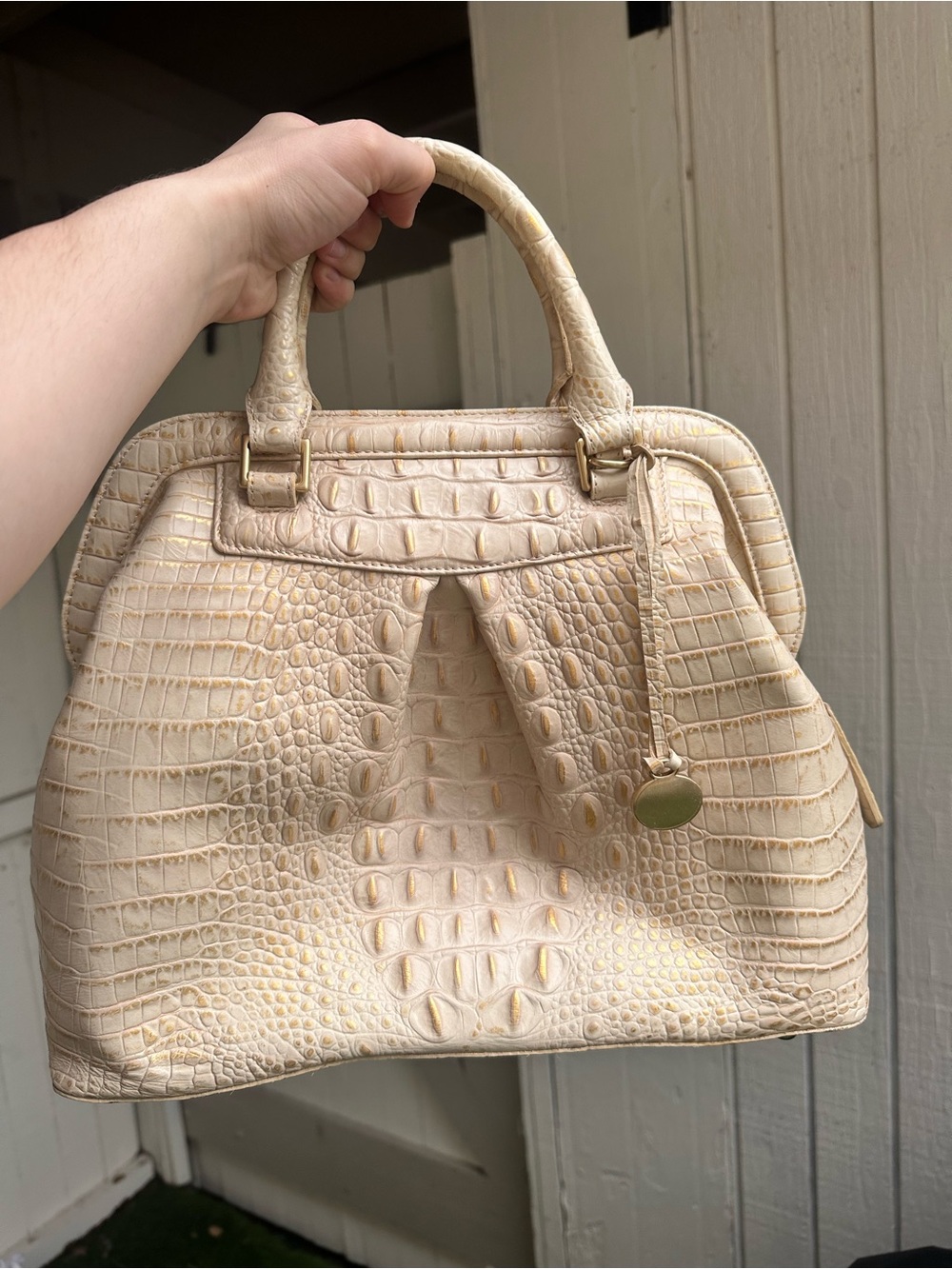 Brahmin Bristol Bag- Retired!